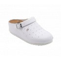 Clog Sophy Dr. Scholl