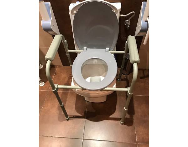 Silla Wc con tapa y reposabrazos